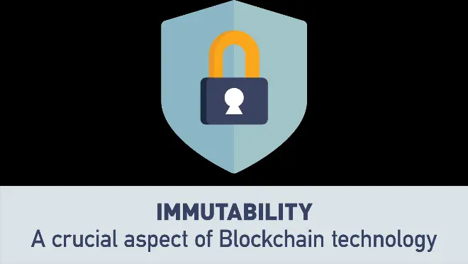 Immutability in the Blockchain.