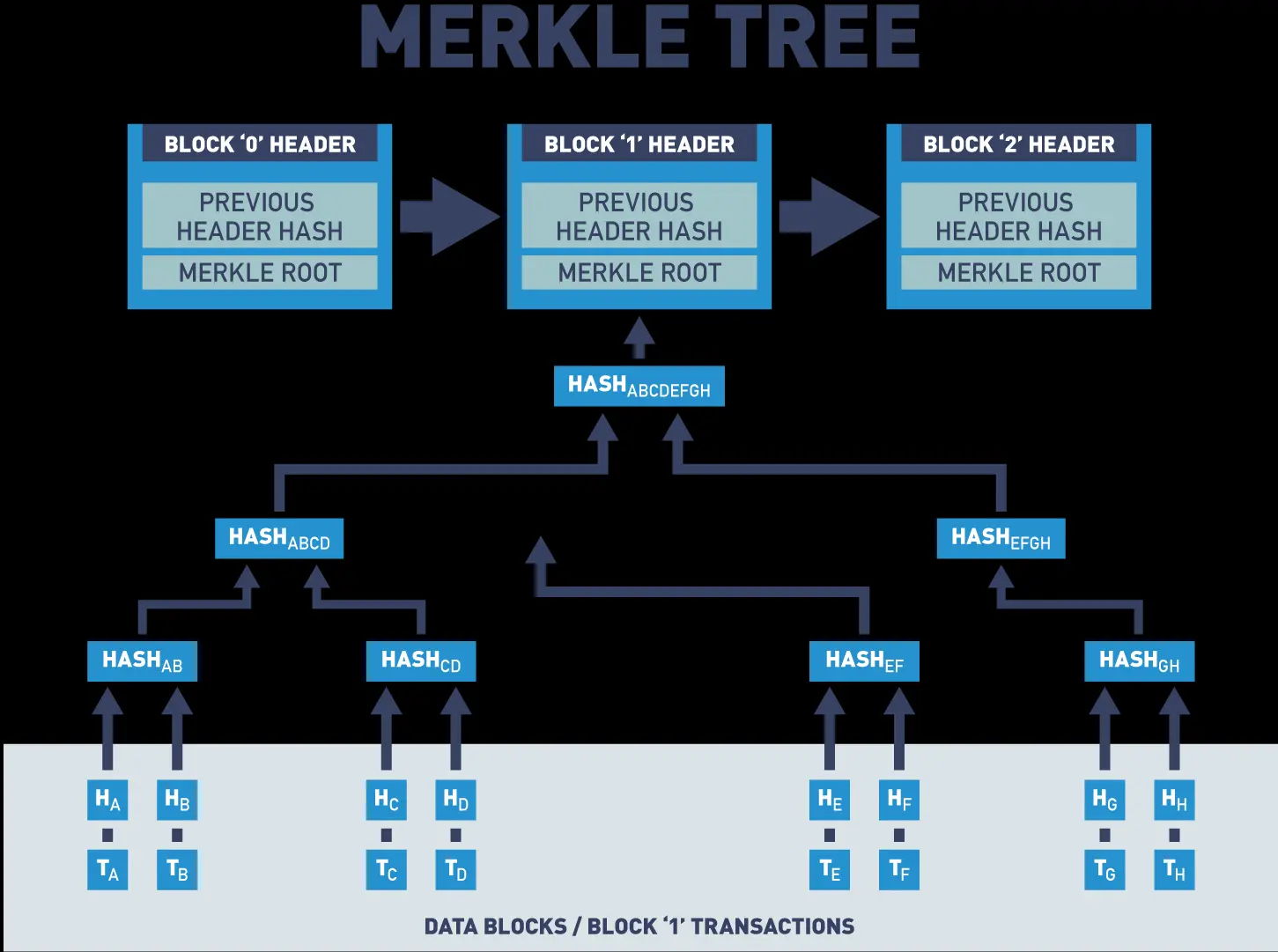Merkle Tree.
