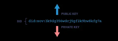 Decentralized Identifiers (DIDs) - Public & Private Keys.
