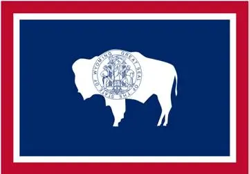 Buffalo on Wyoming Flag.